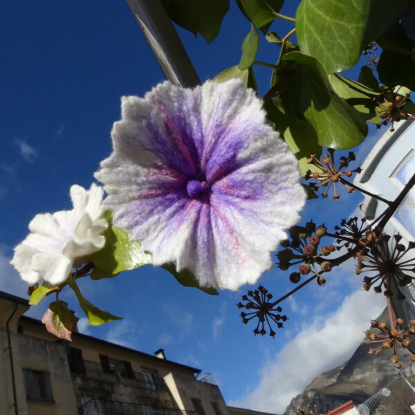 Fleurs en laine dans un arbre avec le ciel en fond